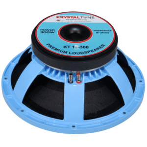 Ferrite DJ Speaker 12 Inch 300 Watt Model KT 12-300