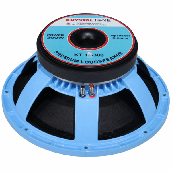 Ferrite DJ Speaker 12 Inch 300 Watt Model KT 12-300